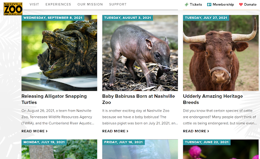 Adding a blog is not only good for your website’s SEO